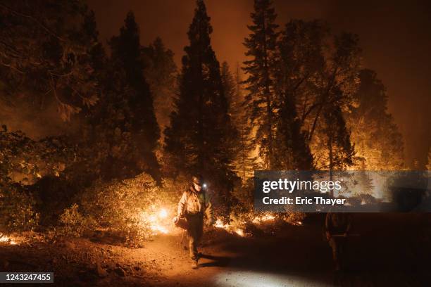 Firefighter lights a controlled burn during the Mosquito Fire on September 14, 2022 in Foresthill, California. The Mosquito fire has became...