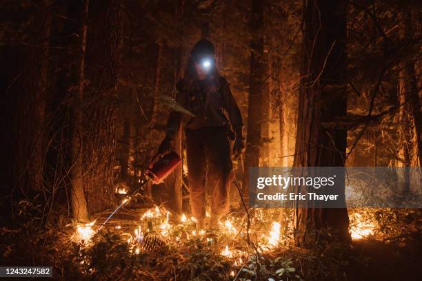 Firefighter lights a controlled burn during the Mosquito Fire on September 14, 2022 in Foresthill, California. The Mosquito fire has became...