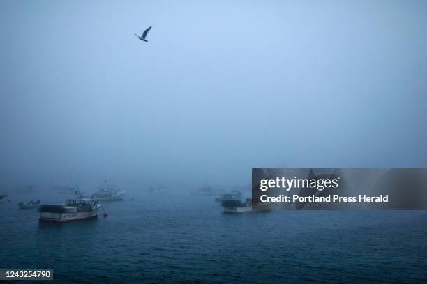 Foggy morning on Vinalhavens Carvers Harbor on Tuesday, July 6, 2021.