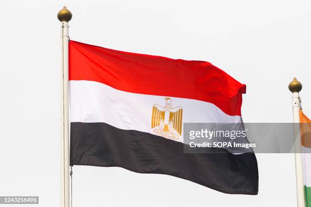 The flag of Egypt seen in the gallery of flags of the participating countries in the framework of St. Petersburg International Gas Forum 2022 .