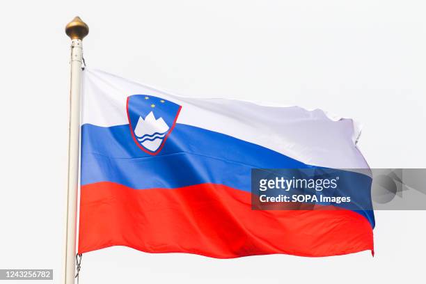 The flag of Slovenia seen in the gallery of flags of the participating countries in the framework of St. Petersburg International Gas Forum 2022 .