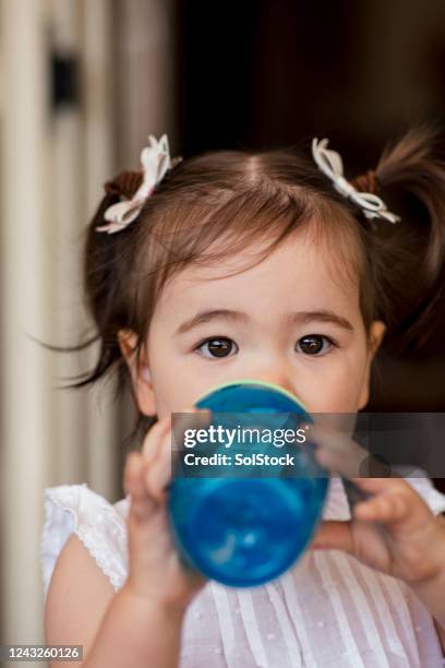 staying hydrated in summer - toddler drinking sippy cup stock pictures, royalty-free photos & images