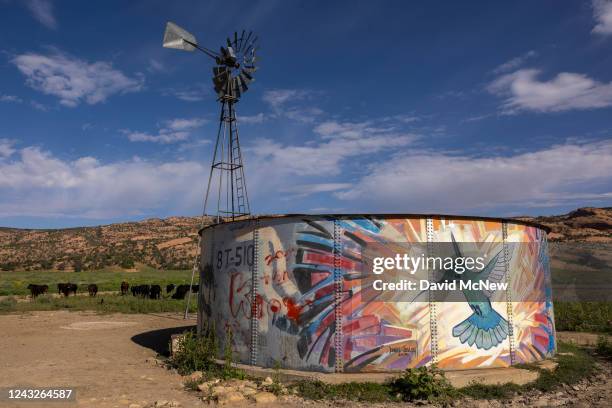 Hummingbird appears in a painting on a water tank on September 6, 2022 on the Navajo Nation east of Shonto Arizona. Murals and graffiti are scattered...