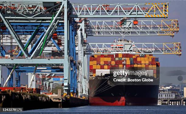Police Container Terminal Conley Container Terminal Photos and Premium High Res Pictures - Getty ...