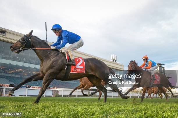 Ingratiating ridden by Mark Zahra wins the Henley Homes for RPC Hcp ...