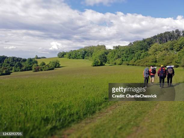 group of backpackers - tourist resting in natural park on the bloomed meadow and oak forrest is front of them - czech republic mountains stock pictures, royalty-free photos & images