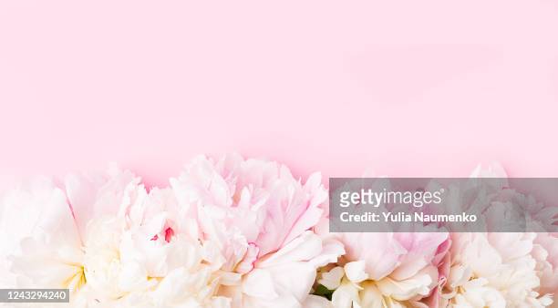 international womens day. stylish pink peonies flat lay. pink and white peonies border on pink paper with space for text. happy mothers day, floral greeting card mockup. valentine's day. - bridal background stock pictures, royalty-free photos & images