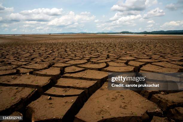 global warming concept . dry cracks in the land, serious water shortages. drought concept. - dry fotografías e imágenes de stock