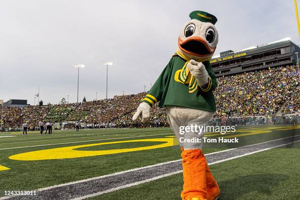 1,019 Oregon Duck Mascot Stock Photos, High-Res Pictures, and