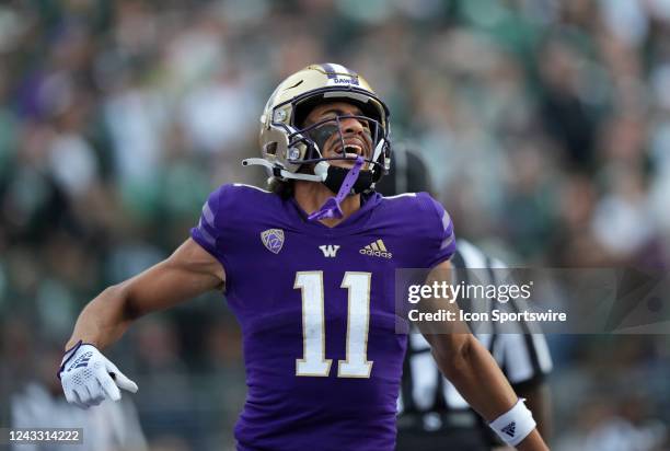 Washington Huskies wide receiver Jalen McMillan celebrates a Washington touchdown during a NCAA non-conference football game between the Michigan...