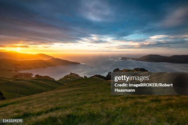 view of meadows and rocky coast at sunset, french pass, marlborough region, marlborough sounds, picton, south island, new zealand - marlborough new zealand stock pictures, royalty-free photos & images