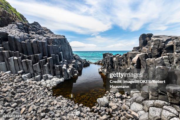 Dunedin Rocks 62 Dunedin Volcano Stock Photos, High-Res Pictures, and Images - Getty ...