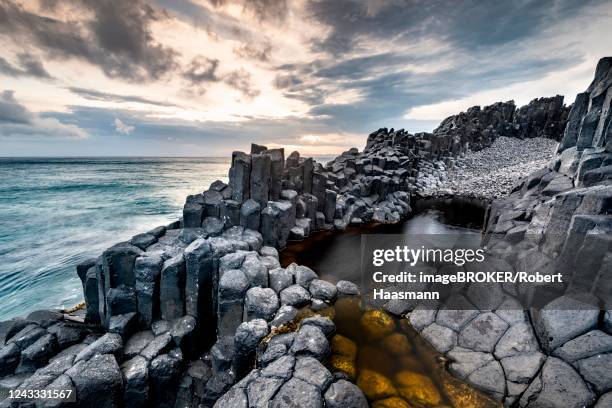 Dunedin Rocks 62 Dunedin Volcano Stock Photos, High-Res Pictures, and Images - Getty ...