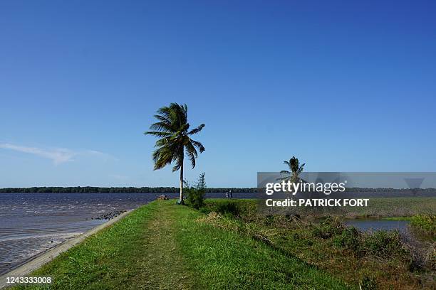 Nieuw Amsterdam Suriname Photos and Premium High Res Pictures Getty