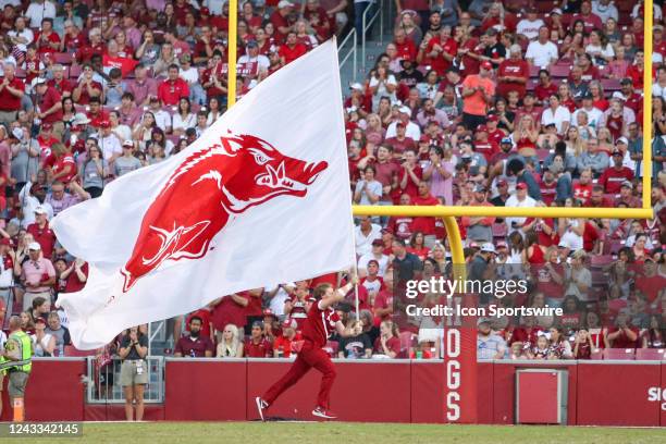 Arkansas Running Razorback Arkansas Football Photos and Premium High Res Pictures - Getty Images