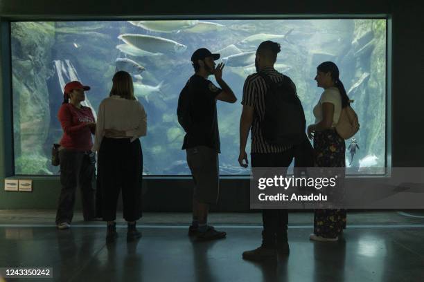 Members of deaf community Sebastian Arenas and Geraldyne Zapata visit the explora park aquarium accompanied by Marian Antonia Soto who works in the...