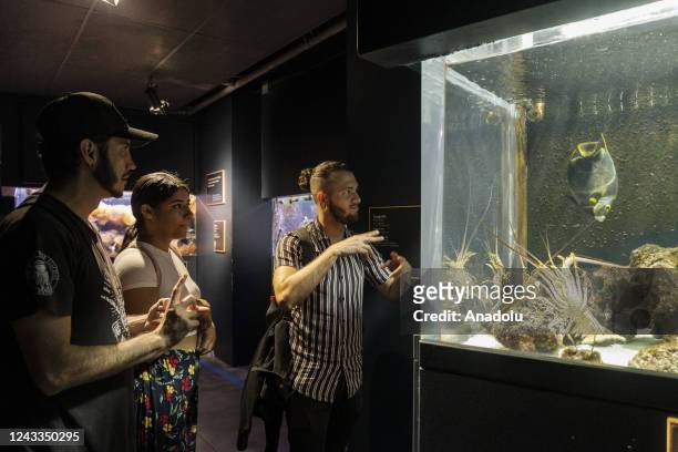 Members of deaf community Sebastian Arenas and Geraldyne Zapata visit the explora park aquarium accompanied by Marian Antonia Soto who works in the...
