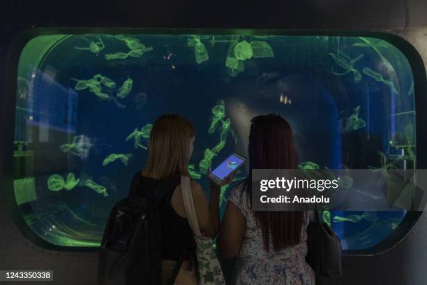 View of Explora park in Medellin, Colombia on Spetember 10, 2022. Omaira Garcia Porras is a blind woman, she was part of the team that evaluated and...