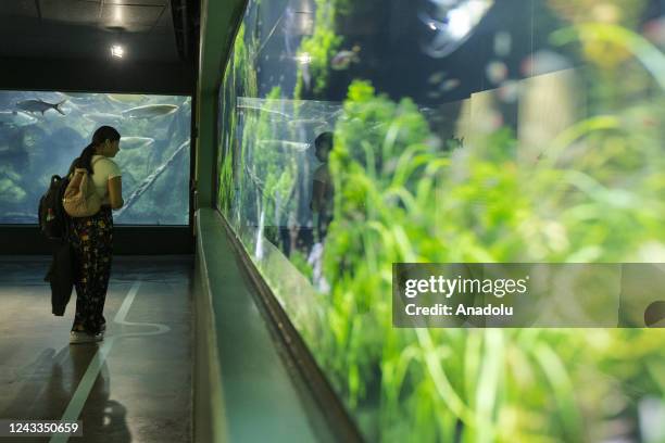 Geraldyne Zapata, member of deaf community, visits the explora park aquarium accompanied by Maria Antonia Soto, who works in the park in the...