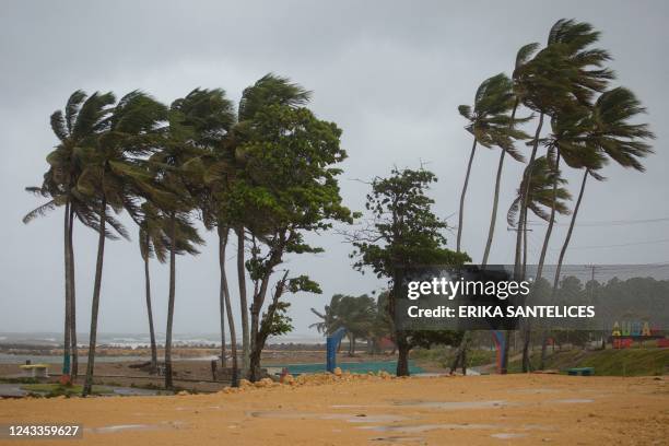 Palm trees blow in the wind in Nagua, Dominican Republic, on September 19 during the passage of Hurricane Fiona. - Hurricane Fiona made landfall...