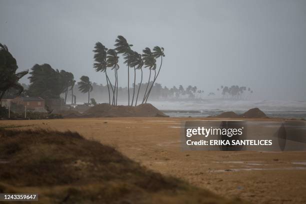 Palm trees blow in the wind in Nagua, Dominican Republic, on September 19 during the passage of Hurricane Fiona. - Hurricane Fiona made landfall...