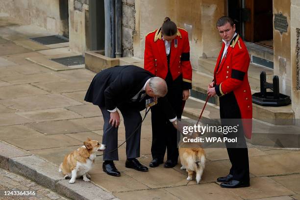 Prince Andrew, Duke of York pets the royal corgis as they await the the coffin of Queen Elizabeth II as it travels on its way to Windsor Castle for...