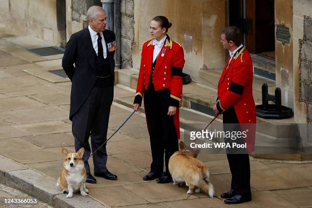 Prince Andrew with royal corgis as they await the cortege ahead of the Committal Service for Queen Elizabeth II held at St George's Chapel on...