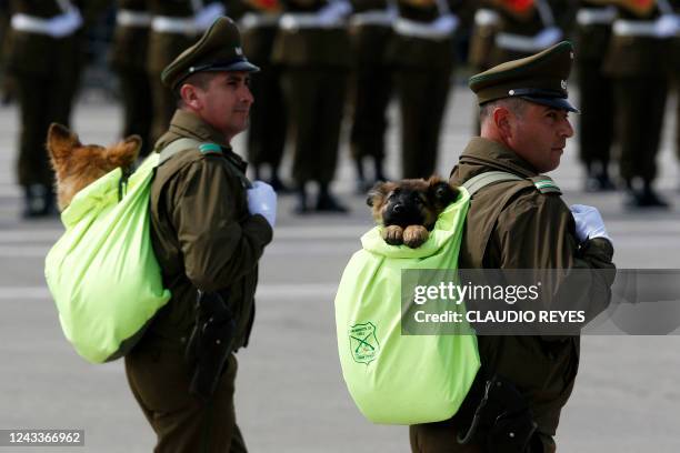 Carabineros police officers march with their sniffer dogs during a military parade in Santiago, on September 19 at the 212th anniversary of Chile's...