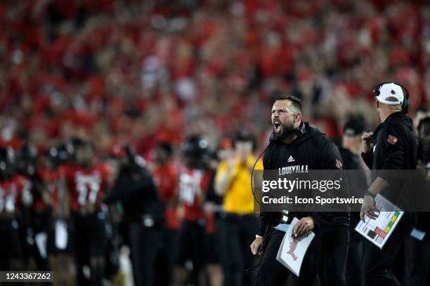 Louisville Cardinals quality control assistant Nic Cardwell reacts after a play during the college football game between the Florida State Seminoles...