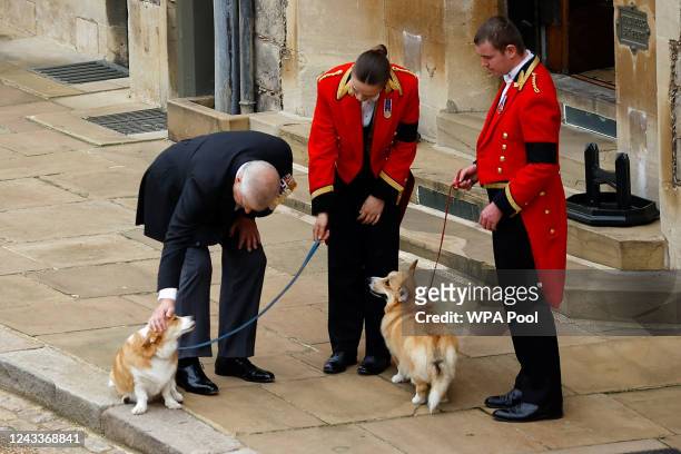 Britain's Prince Andrew pets the royal corgis inside Windsor Castle ahead of the Committal Service for Queen Elizabeth II held at St George's Chapel...