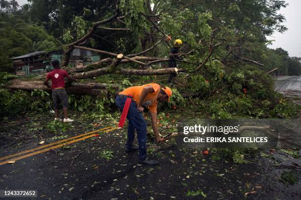 Civil defense personnel and firefighters work removing fallen trees from the highway connecting the provinces of Maria Trinidad Sanchez and Samana,...