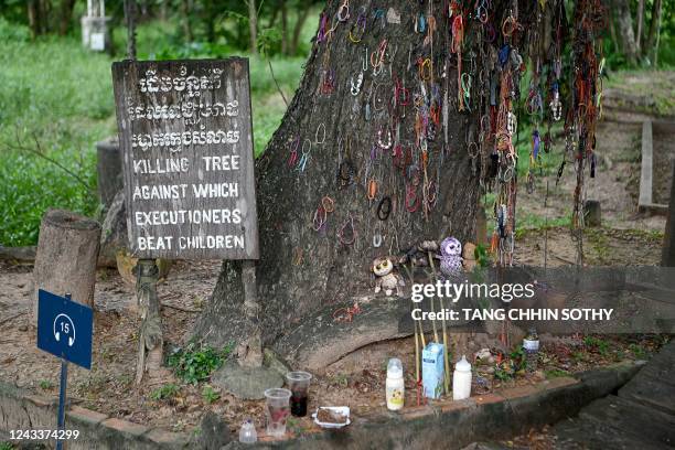 This photo taken on September 16 shows the tree used to beat children to death in the former Khmer Rouge prison camp at the Choeung Ek killing fields...