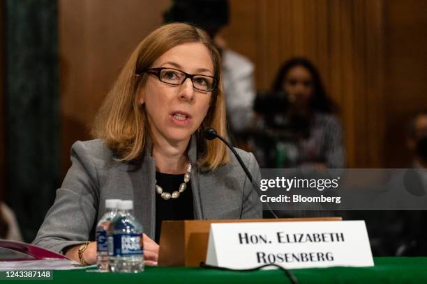 Liz Rosenberg C Rosenberg Photos and Premium High Res Pictures - Getty Images