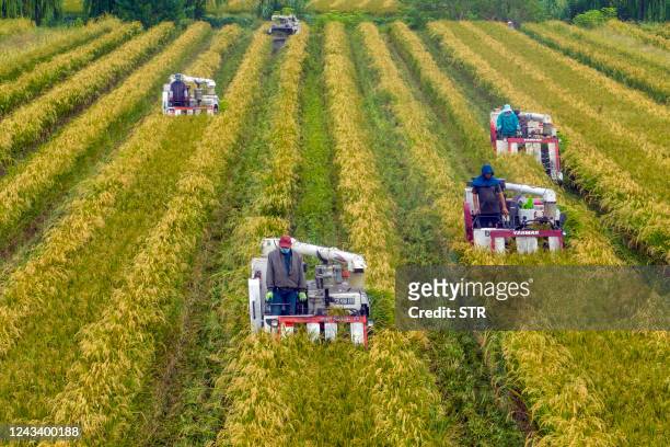 This photo taken on September 20, 2022 shows farmers harvesting rice in a paddy during harvest season in Taizhou, in China's eastern Jiangsu...