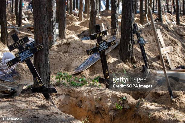 Grave crosses at the site of a mass grave during exhumation in the town of Izium, recently liberated by the Ukrainian Armed Forces, in the Kharkiv...