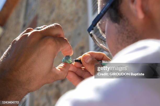 Discovery of new sapphire veins in Auvergne at the foot of the Massif Central volcanoes; The inspection of a sapphire by a gemologist. This one is...