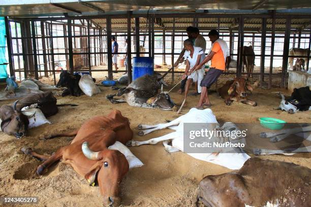 Nodules Skin Photos and Premium High Res Pictures - Getty Images