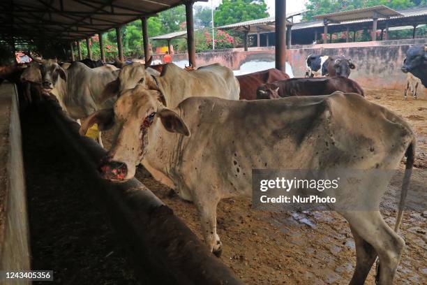 Nodules Skin Photos and Premium High Res Pictures - Getty Images