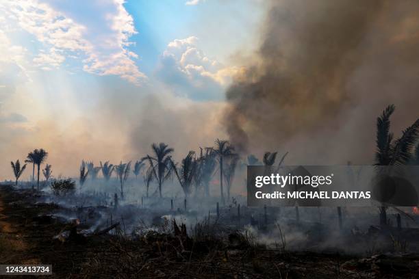 View of a burnt are of the Amazonia rainforest in Apui, southern Amazonas State, Brazil, on September 21, 2022. - According to the National Institute...