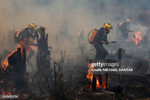 Firefighters and volunteers combat a fire on the Amazonia rainforest in Apui, southern Amazonas State, Brazil, on September 21, 2022. - According to...