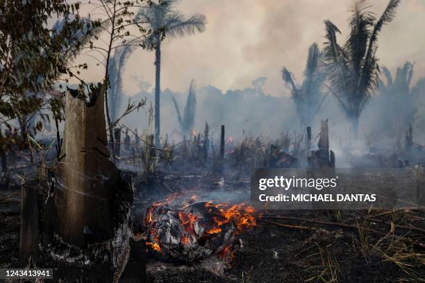 View of a burnt are of the Amazonia rainforest in Apui, southern Amazonas State, Brazil, on September 21, 2022. - According to the National Institute...