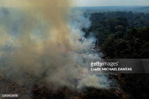 Aerial view of a burnt are of the Amazonia rainforest in Apui, southern Amazonas State, Brazil, on September 21, 2022. - According to the National...