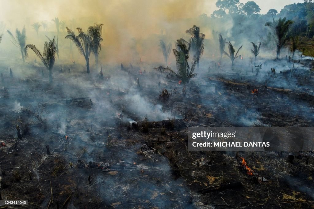 BRAZIL-ENVIRONMENT-AMAZON-DEFORESTATION