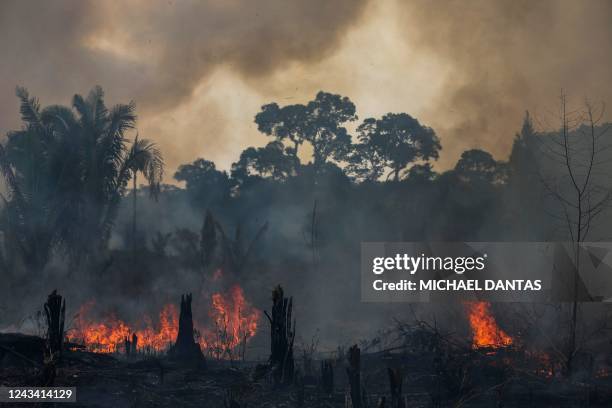 View of a burnt are of the Amazonia rainforest in Apui, southern Amazonas State, Brazil, on September 21, 2022. - According to the National Institute...