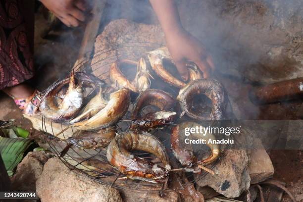 View of smoked fishes are seen as they are used for an alternative to frozen fish, at a market in Yaounde, Cameroon on September 14, 2022. In...