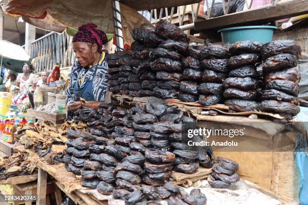 View of smoked fishes are seen as they are used for an alternative to frozen fish, at a market in Yaounde, Cameroon on September 14, 2022. In...