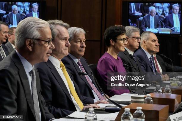 Wells Fargo CEO Charles Scharf, Bank of America CEO Brian Thomas Moynihan, JPMorgan Chase & Co CEO Jamie Dimon, Citigroup CEO Jane Fraser, Truist...