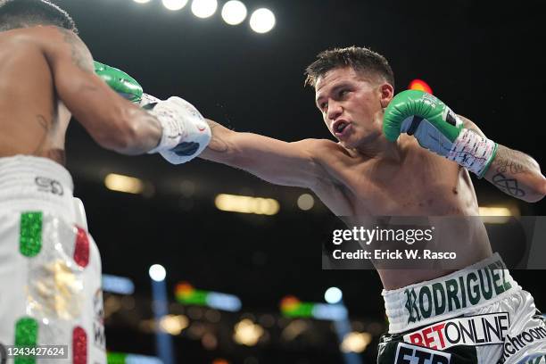 18,018 Flyweight Boxing Stock Photos, High-Res Pictures, and Images ...