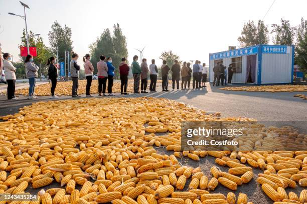 Farmers line up for nucleic acid tests in Hua county, Anyang City, Henan Province, China, Sept 22, 2022.