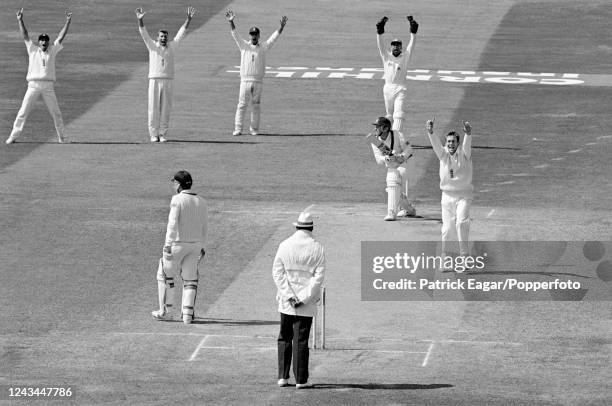Ian Healy of Australia is out LBW for 5 runs to Mark Ilott of England on day five of the 3rd Test match between England and Australia at Trent...